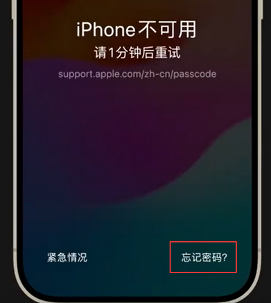邛崃苹果手机密码维修分享iPhone忘记了刚设置的密码 