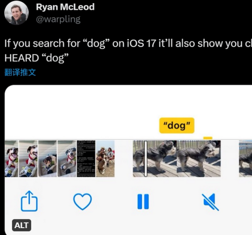 邛崃apple维修店分享通过关键字搜索iPhone视频内声音 