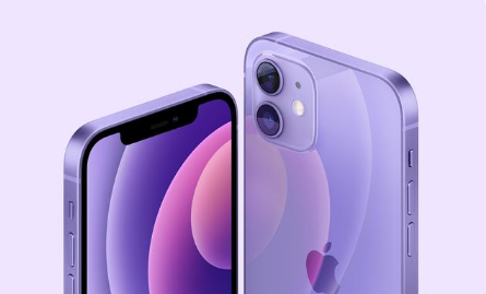 邛崃苹果手机维修分享紫色版iPhone 12有什么技术亮点 