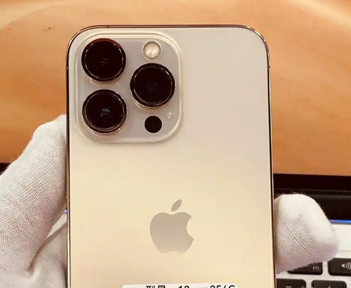 邛崃苹果13维修中心分享如何在iPhone13上设置动态壁纸 邛崃苹果13维修中心分享如何在iPhone13上设置动态壁纸
